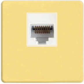 Интернет розетка Fede RJ-45 (Bright Gold, белый) Интернет розетка Fede RJ-45 (Bright Gold, белый)