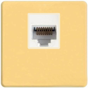 Интернет розетка Fede RJ-45 (Real Gold, белый) Интернет розетка Fede RJ-45 (Real Gold, белый)