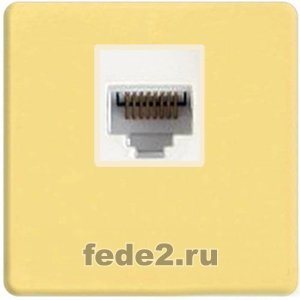   Fede RJ-45 (Bright Gold, )