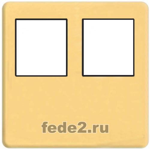    2- .  RJ-45 (real gold, )