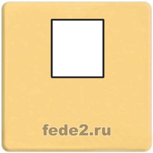    1- .  RJ-45 (real gold, )