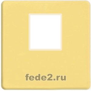    1- .  RJ-45 (bright gold, )