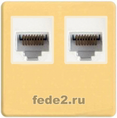    Fede RJ-45 (Real Gold, )