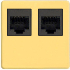    Fede RJ-45 (Bright Gold, )